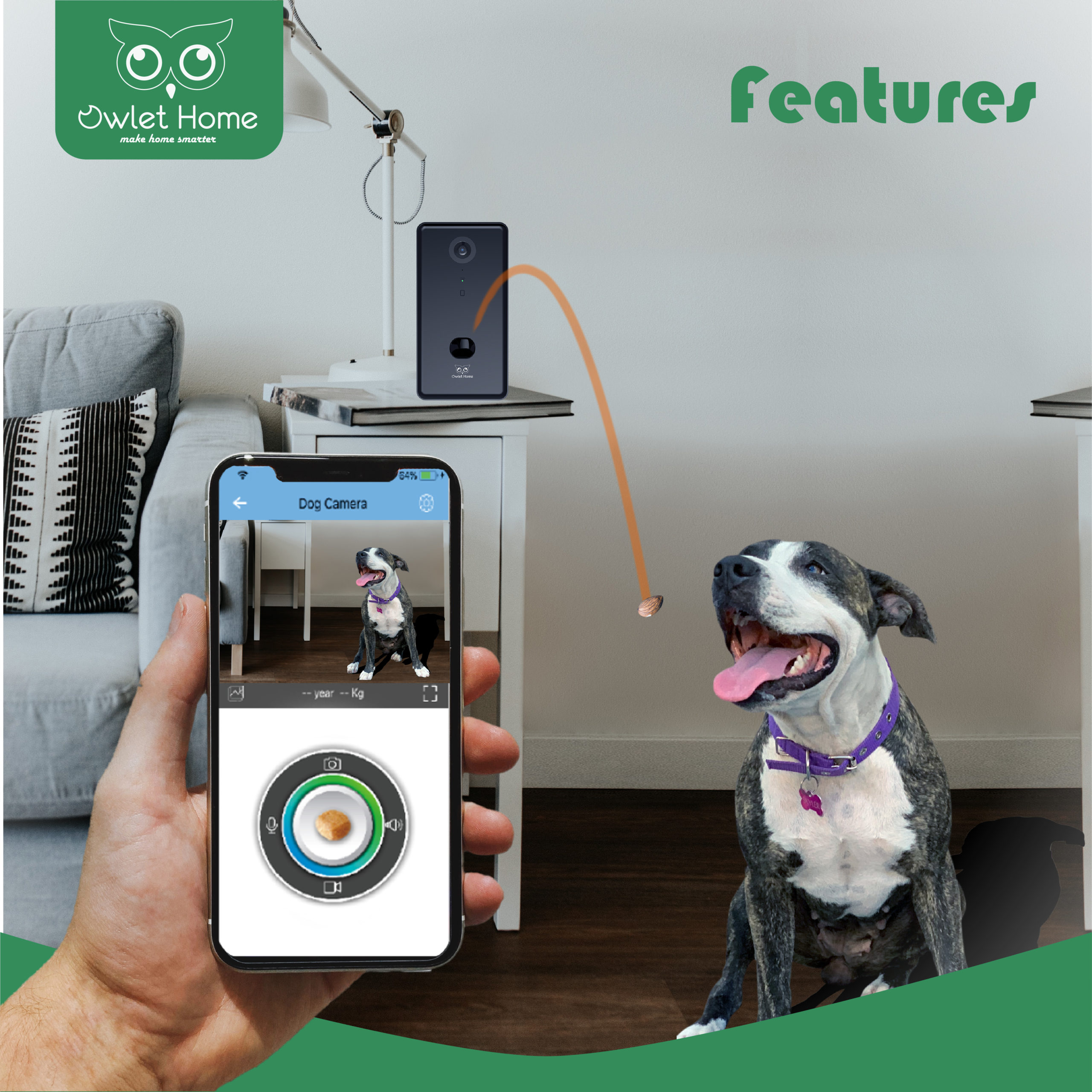 Owlet Home Smart Dog Camera with treat tossing(BLACK), WiFi connecting(2.4G  & 5G), 1080p HD Camera, Live Video Streaming, Auto Night Vision, 2-Way  Audio, Work With Alexa - Owlet Home - Smart Home