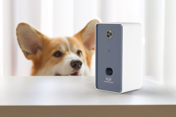 Owlet Home Smart Dog Camera with treat tossing(BLACK), WiFi connecting(2.4G & 5G), 1080p HD Camera, Live Video Streaming, Auto Night Vision, 2-Way Audio, Work With Alexa - Image 2