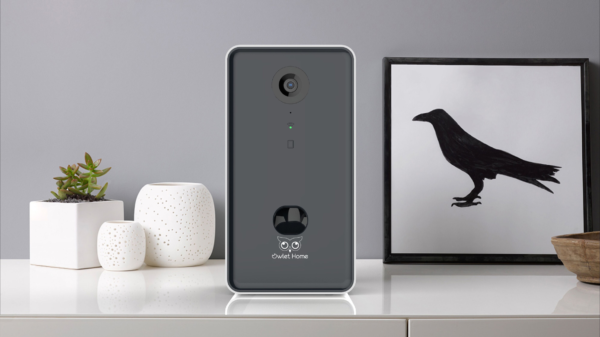 Owlet Home Smart Dog Camera with treat tossing(BLACK), WiFi connecting(2.4G & 5G), 1080p HD Camera, Live Video Streaming, Auto Night Vision, 2-Way Audio, Work With Alexa - Image 3