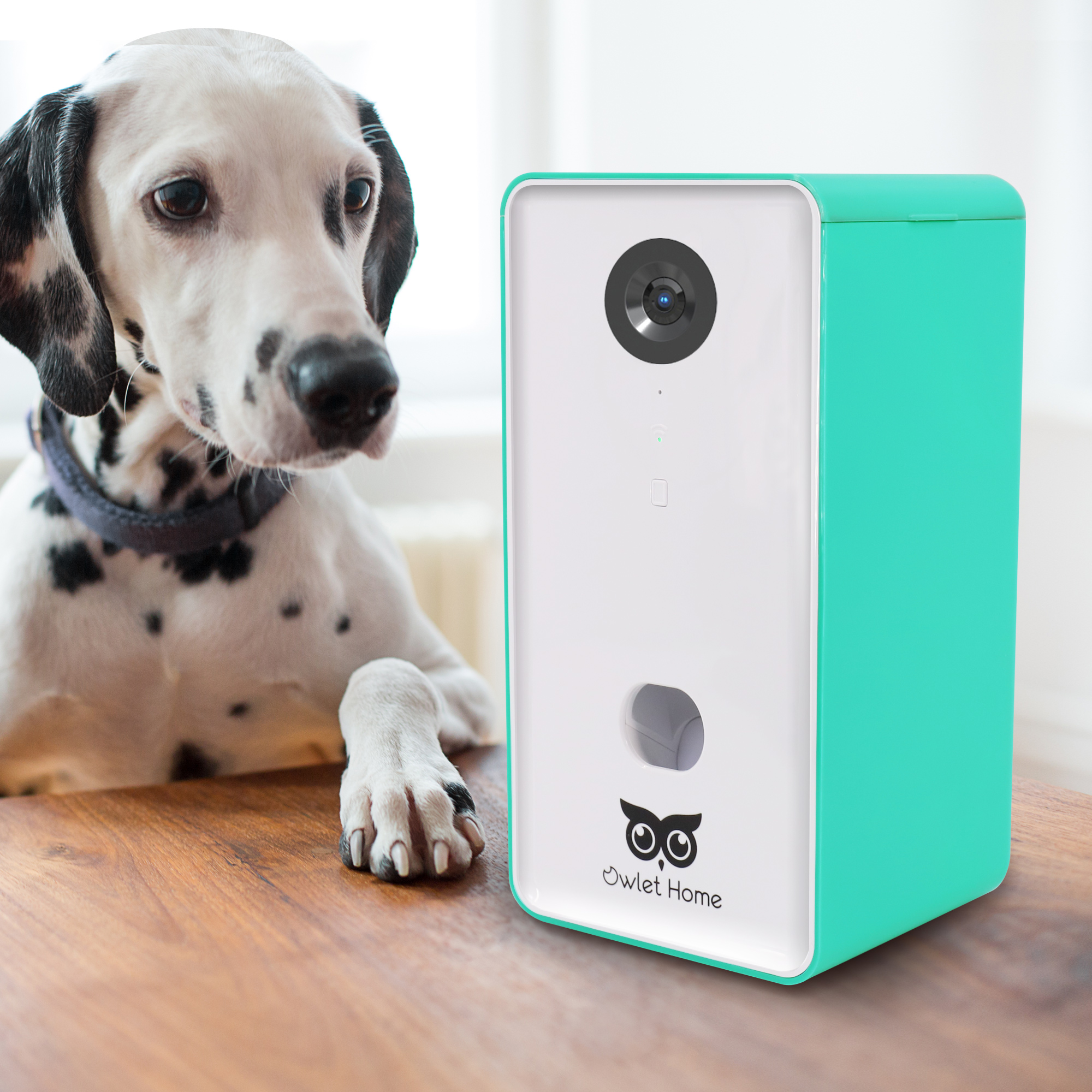 Owlet Home Smart Dog Camera with treat tossing (BLUE), WiFi connecting(2.4G  & 5G), 1080p HD Camera, Live Video Streaming, Auto Night Vision, 2-Way